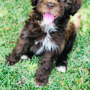 Meet your Posher, Nora